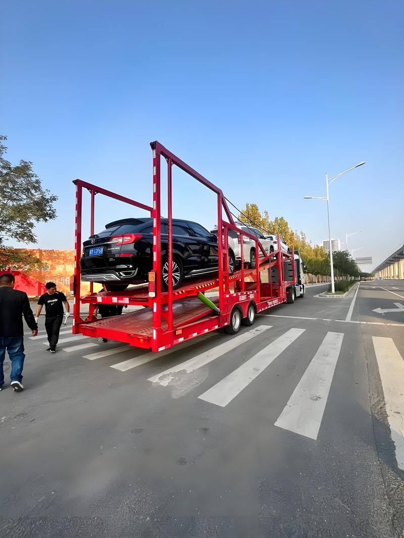 专业轿运板车